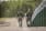 Border guard patrol in nature